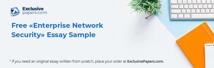 Free «Enterprise Network Security» Essay Sample