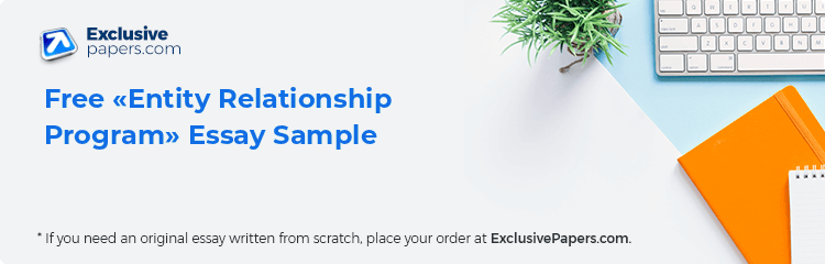 Free «Entity Relationship Program» Essay Sample