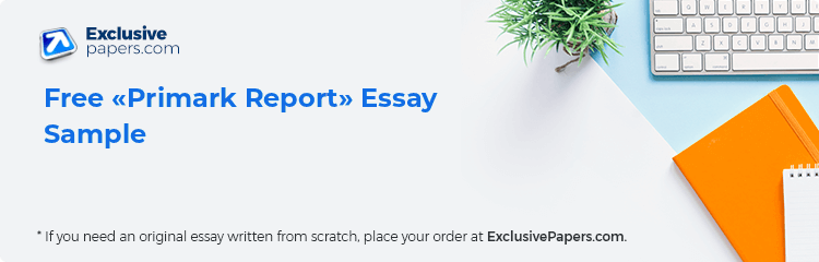 Free «Primark Report» Essay Sample