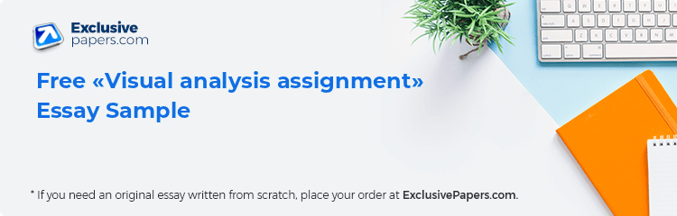 Free «Visual analysis assignment» Essay Sample