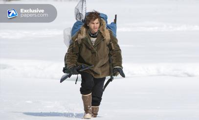 Into The Wild Essay