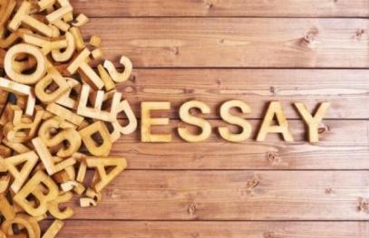 Essay Samples for Beginners