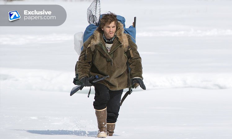 Into The Wild Essay